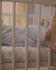 دمية قابلة لإعادة الشحن تصدر صوت وضوء للمساعدة على النوم من تومي تيبي بتصميم الدب بيني image number 4